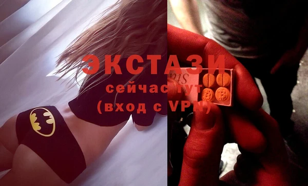 стаф Аркадак