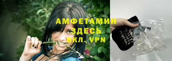 стаф Аркадак