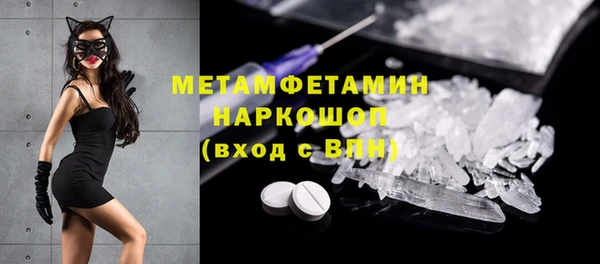 стаф Аркадак