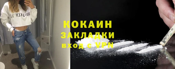 стаф Аркадак