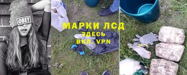 стаф Аркадак