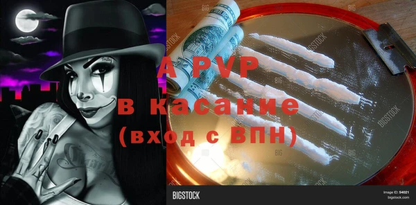 стаф Аркадак