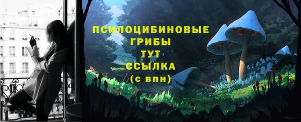 СК Армянск