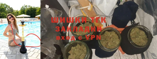 стаф Аркадак