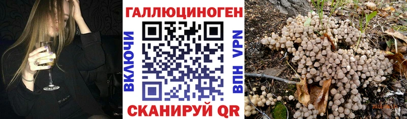 Купить закладки  Ступино  Галлюциногенные грибы ЛСД 